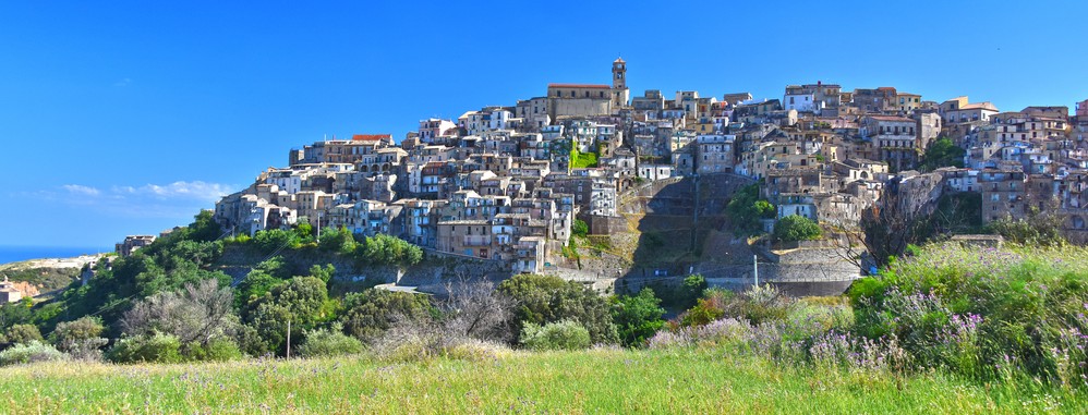 provincia catanzaro vino