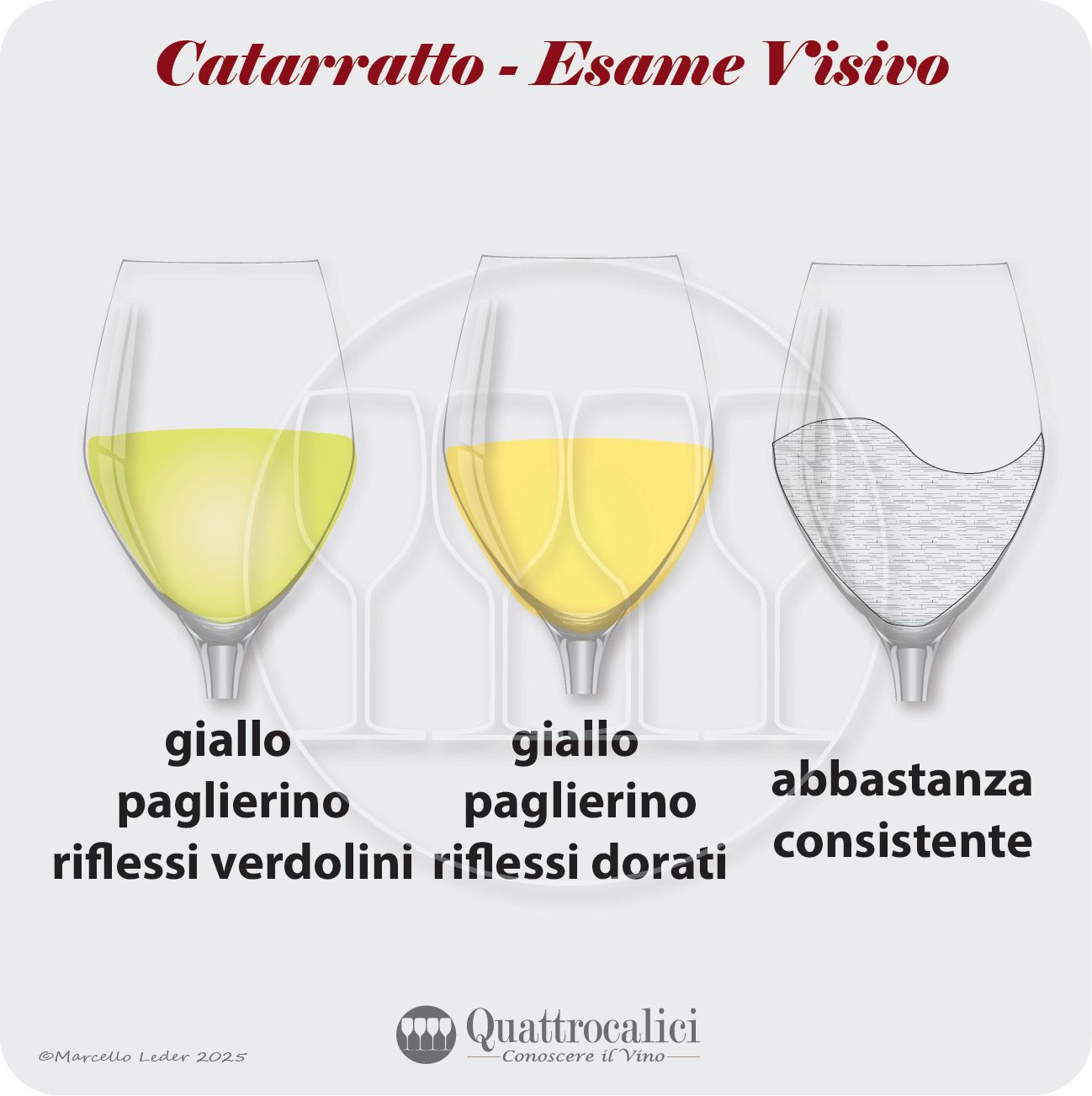 L'esame visivo dei vini catarratto