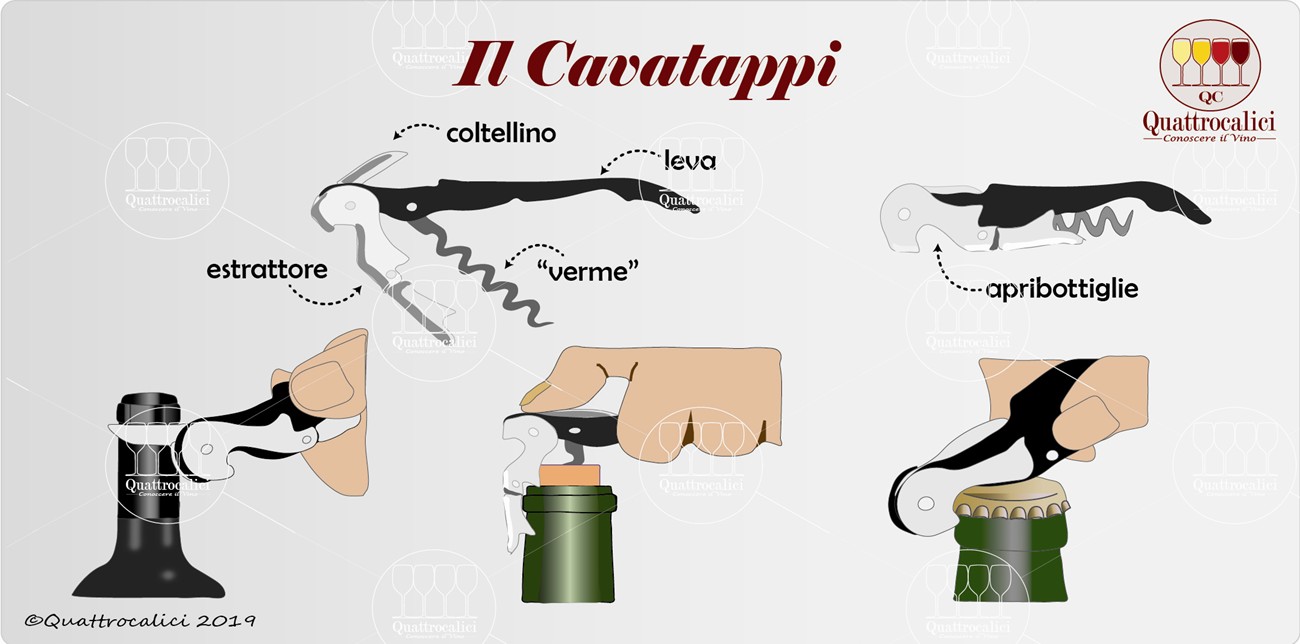 cavatappi