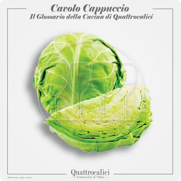 Il avolo cappuccio in cucina e con i vini