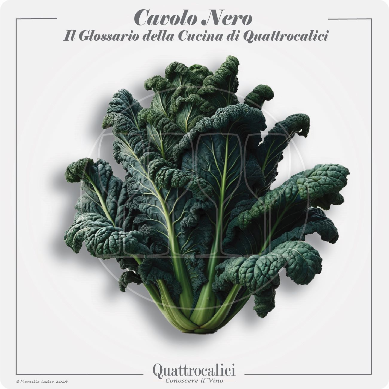 il cavolo nero in cucina e con i vini