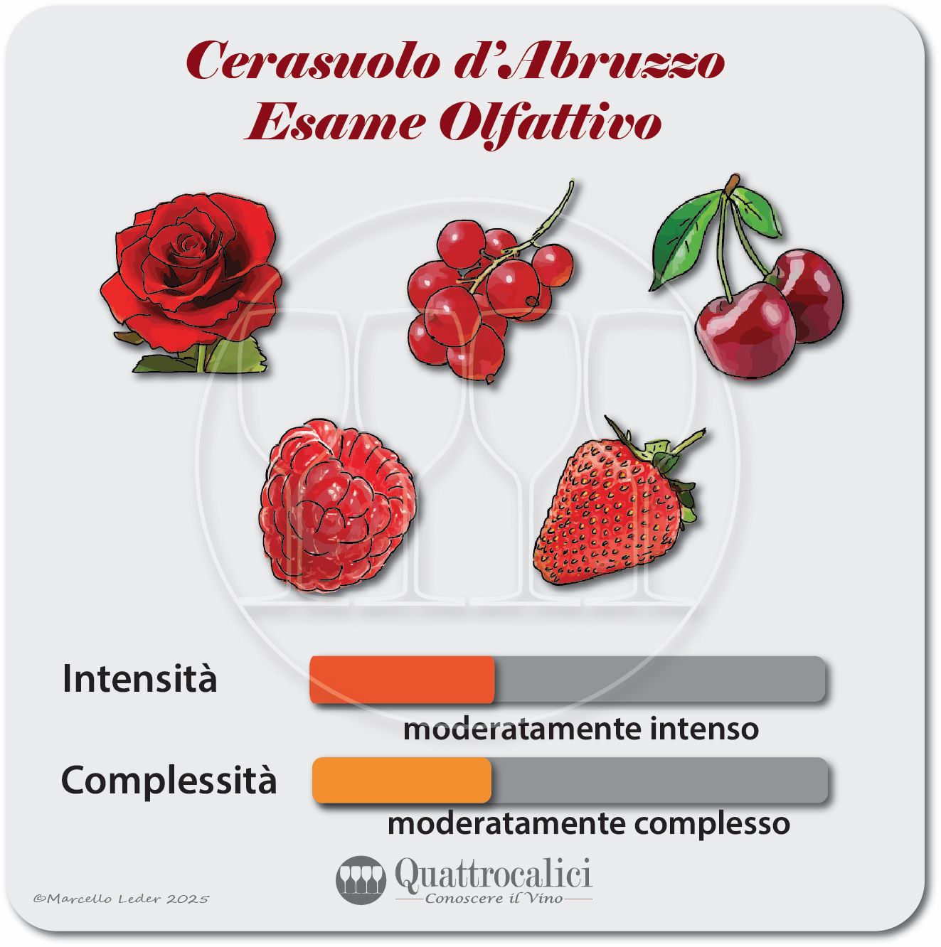 L'esame olfattivo dei vini Cerasuolo d'Abruzzo