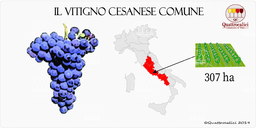 vitigno cesanese comune