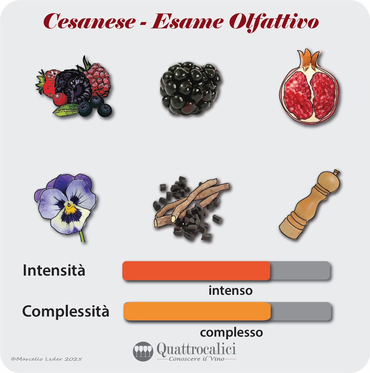 L'esame olfattivo dei vini Cesanese