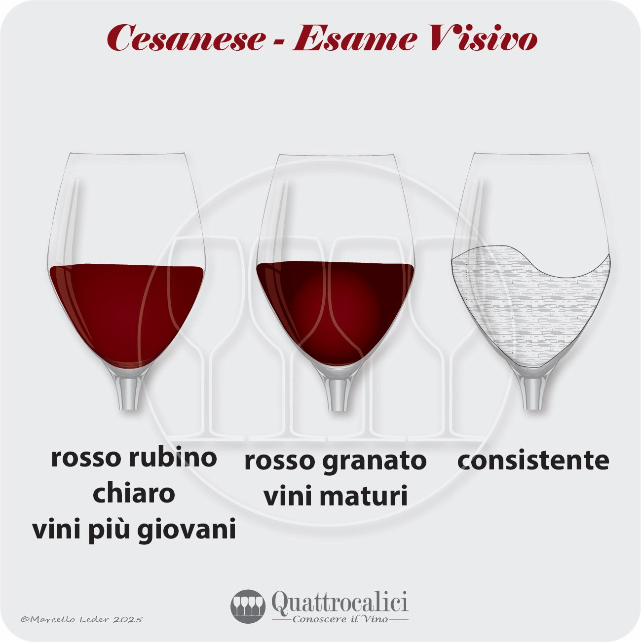 L'esame visivo dei vini Cesanese