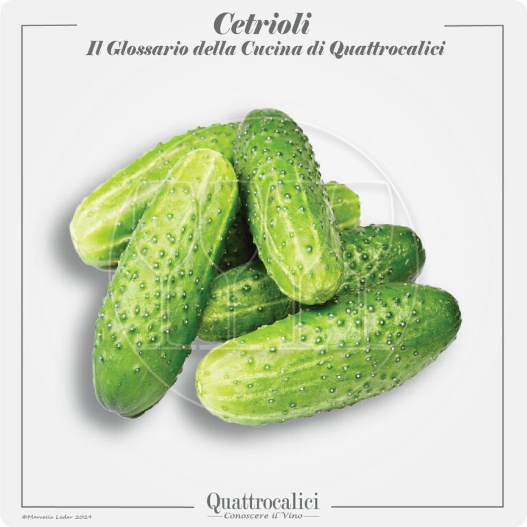 I cetrioli in cucina e con i vini