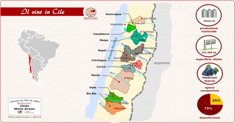 Il Cile e il vino