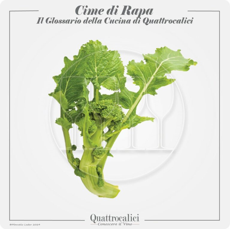 le cime di rapa in cucina e con i vini