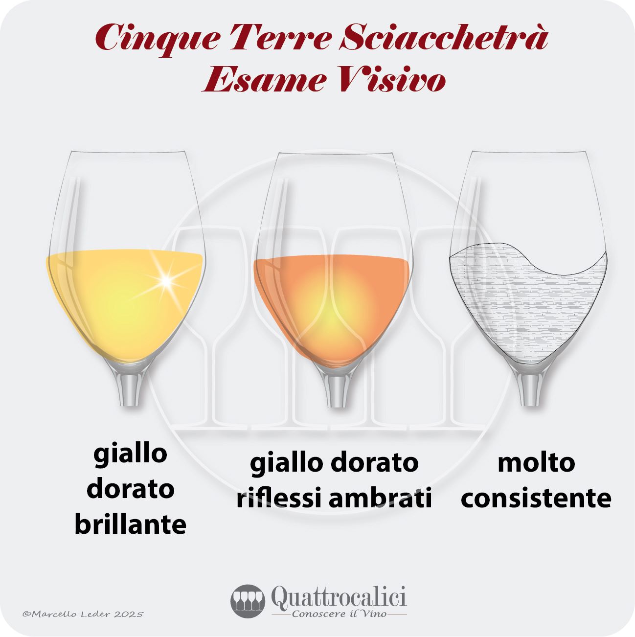 L'esame visivo del vino Cinque Terre Sciacchetrà