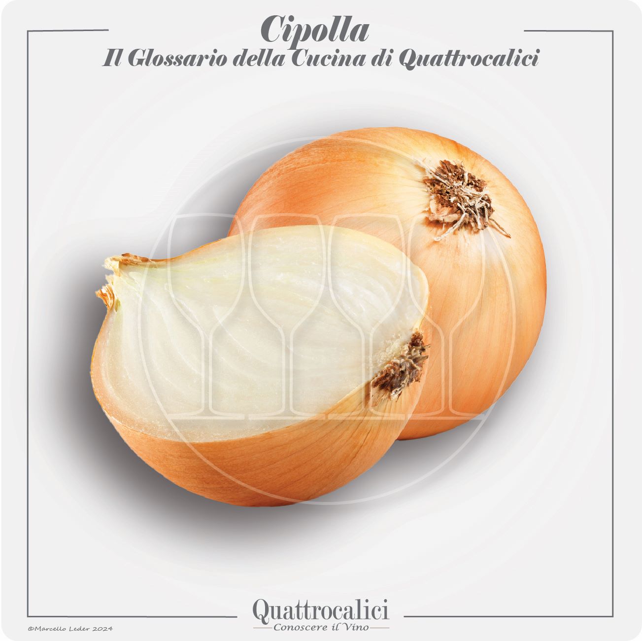 le cipolle in cucina e con i vini