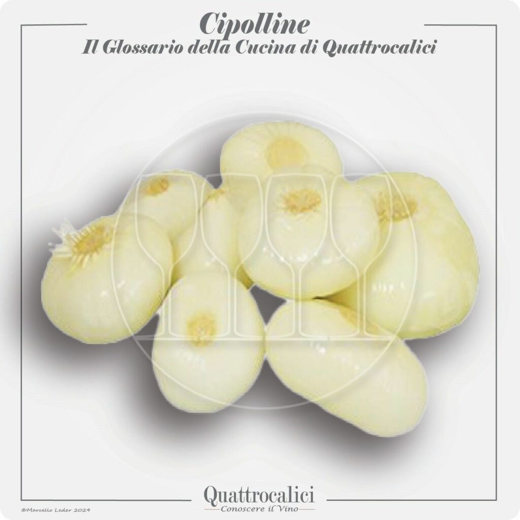le cipolline in cucina e con i vini