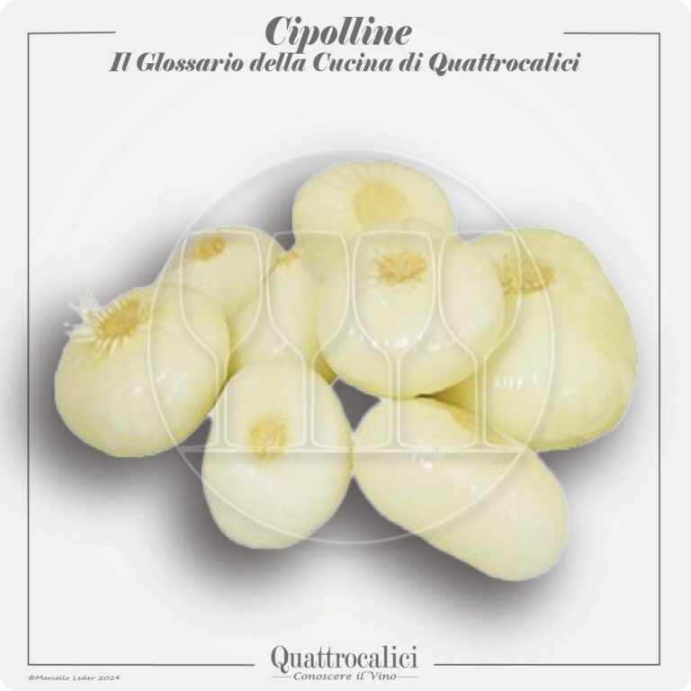 le cipolline in cucina e con i vini