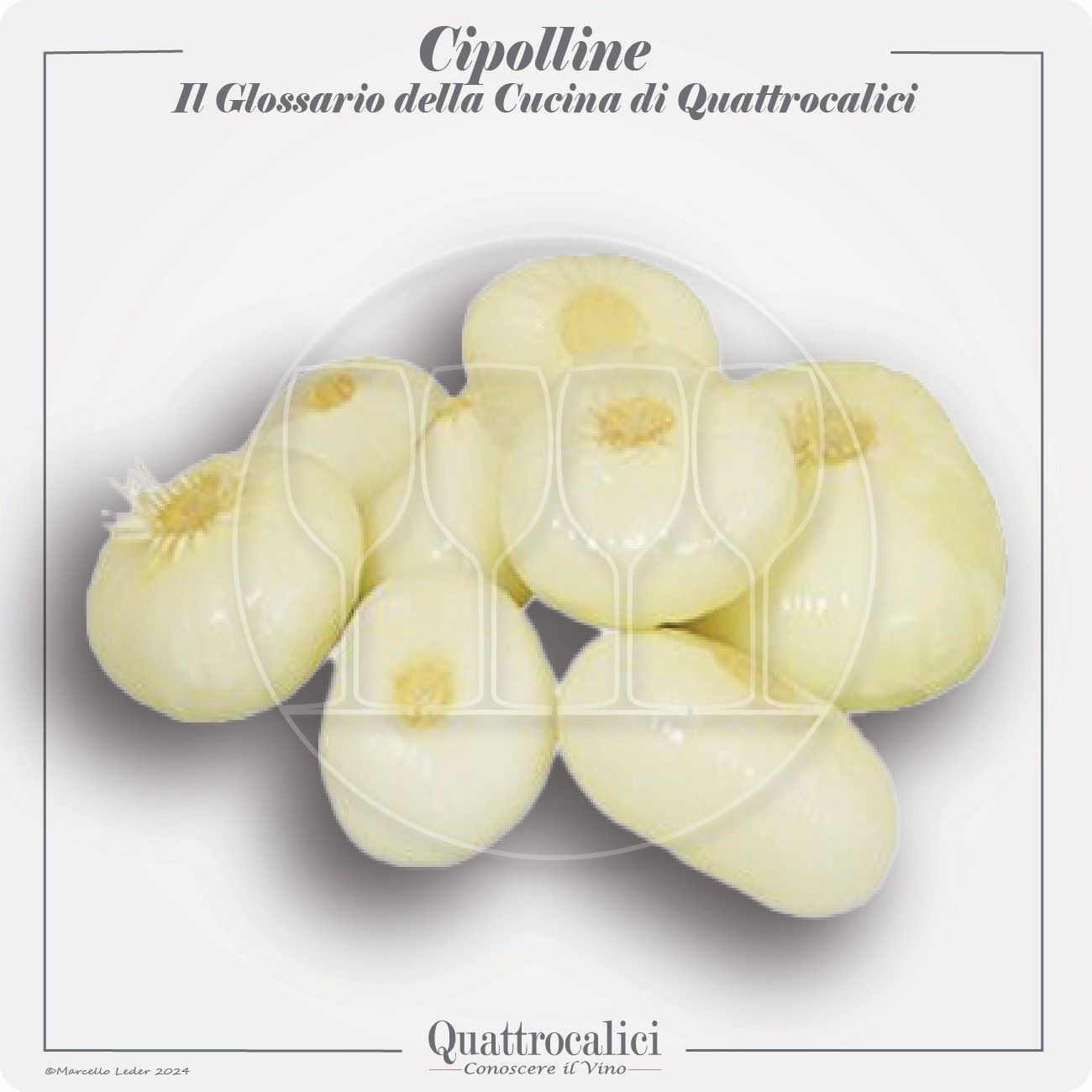 le cipolline in cucina e con i vini