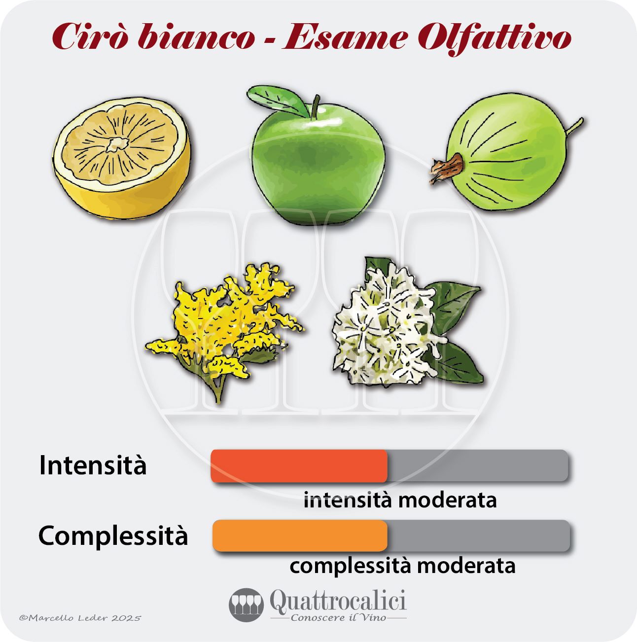 L'esame olfattivo dei vini Cirò bianco