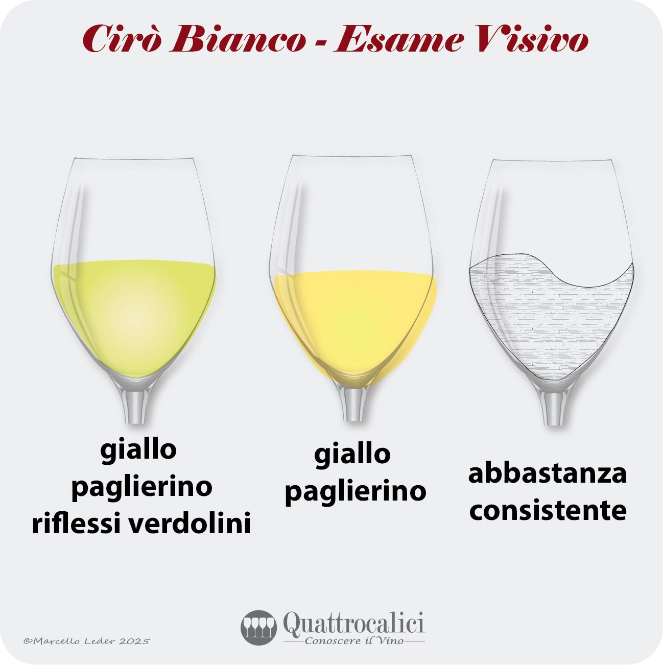 L'esame visivo dei vini Cirò bianco