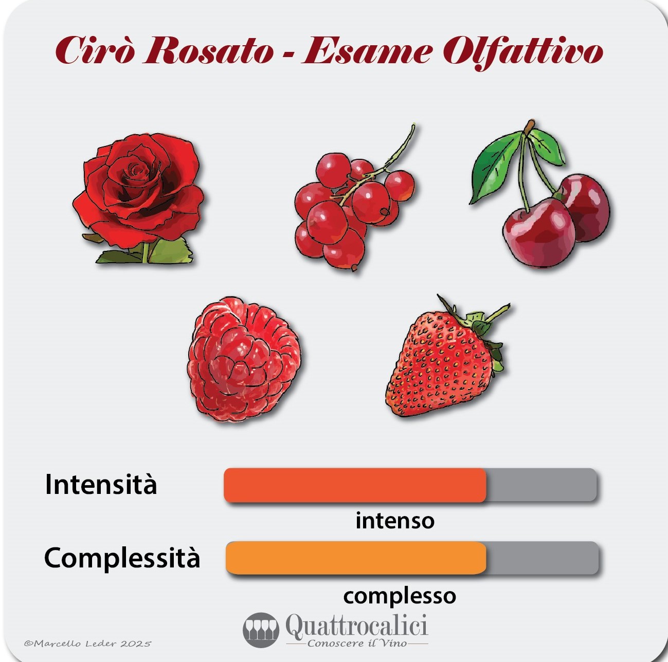 L'esame olfattivo del vino Cirò Rosato
