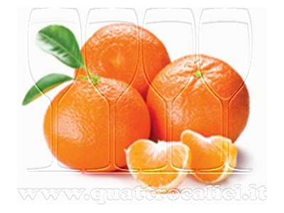 Clementine del Golfo di Taranto IGP