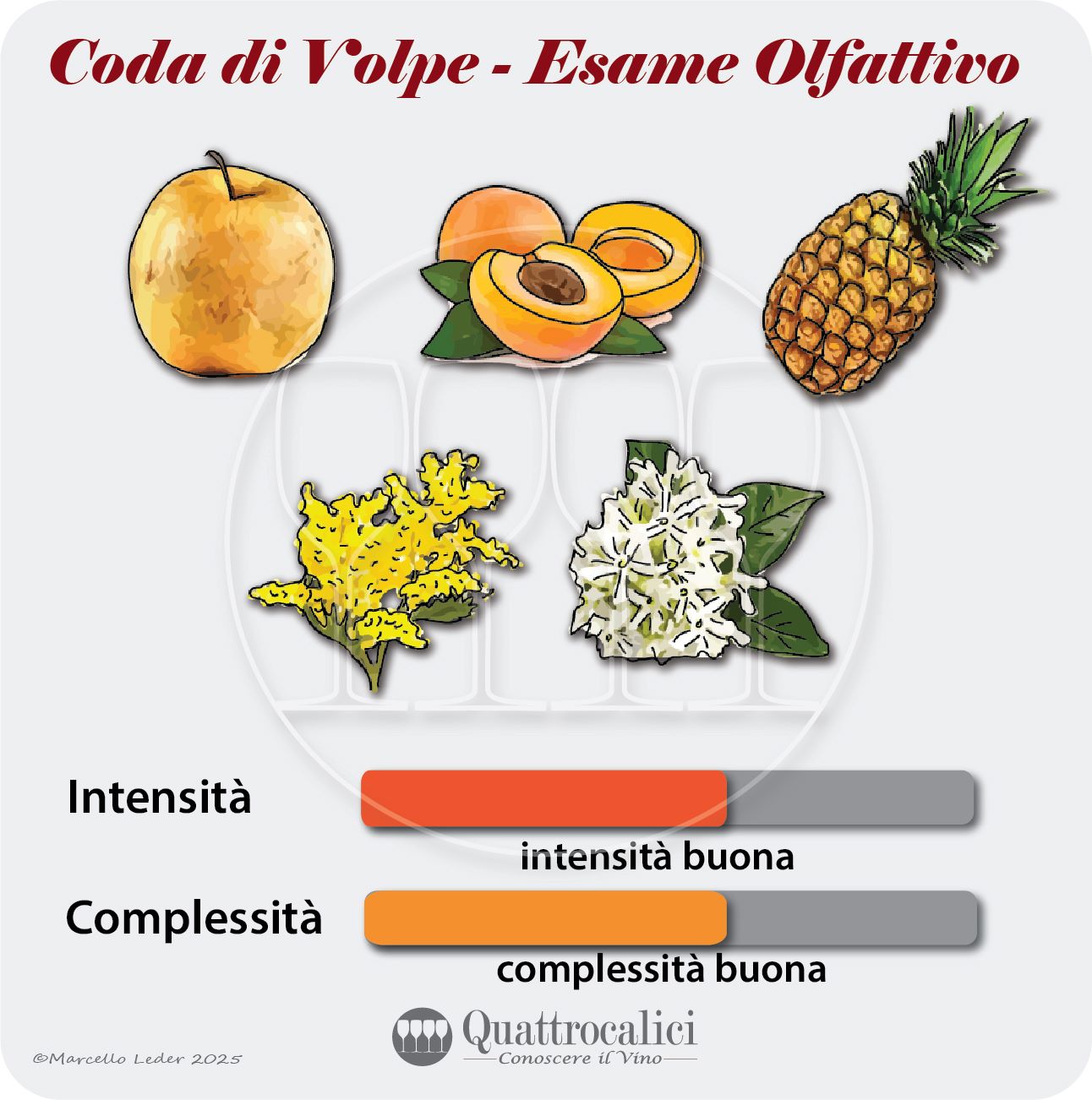 L'esame olfattivo dei vini Coda di Volpe