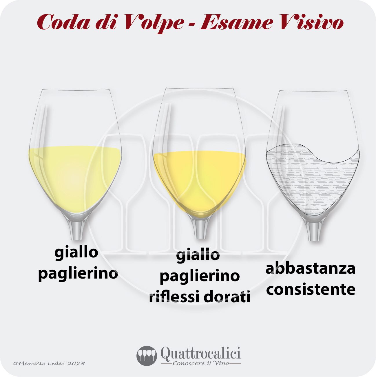 L'esame visivo dei vini Coda di Volpe