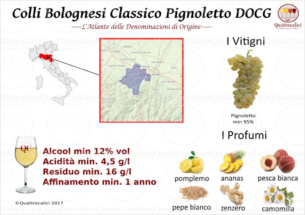 colli-bolognesi-classico-pignoletto-docg