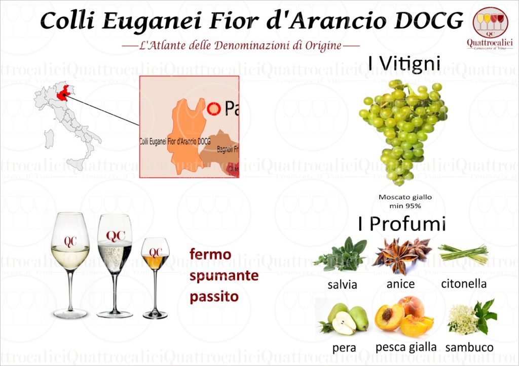 Colli Euganei Fior d\'Arancio Quattrocalici - regione della - le Veneto DOCG Tutte DOCG