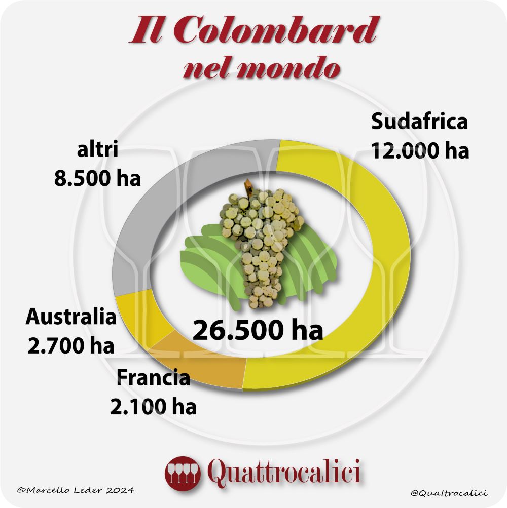 Il vitigno Colombard nel mondo