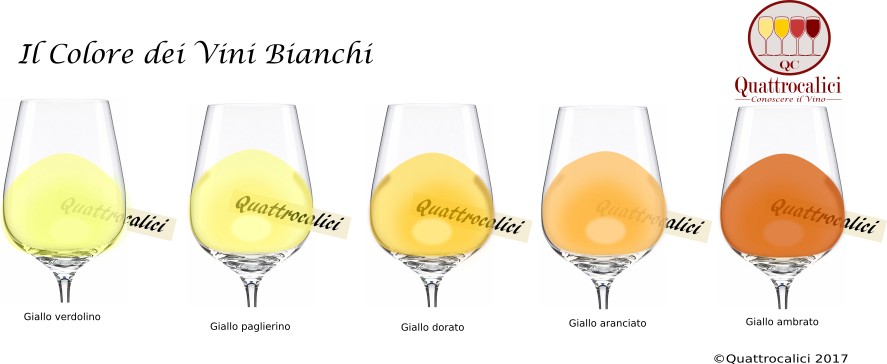 colore dei vini bianchi