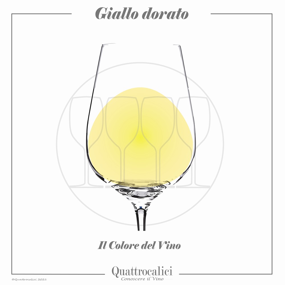 Vino di colore giallo dorato