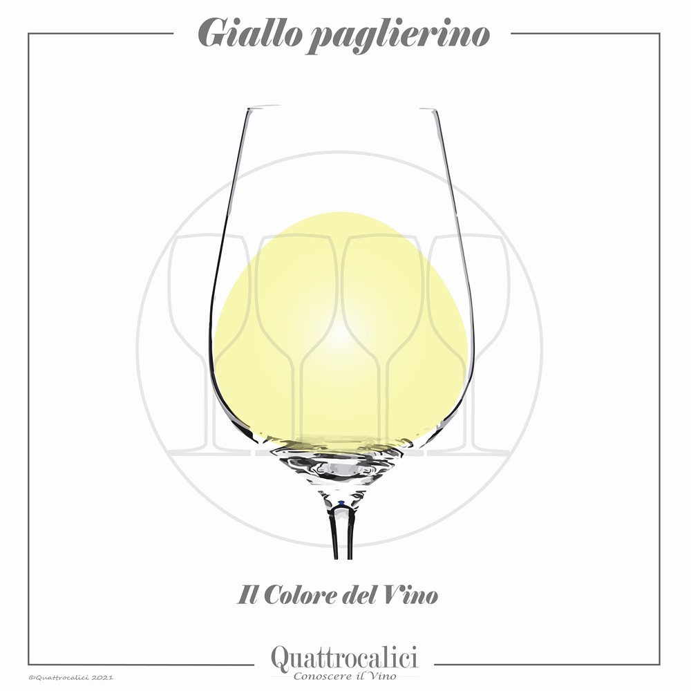 Vino di colore giallo paglierino