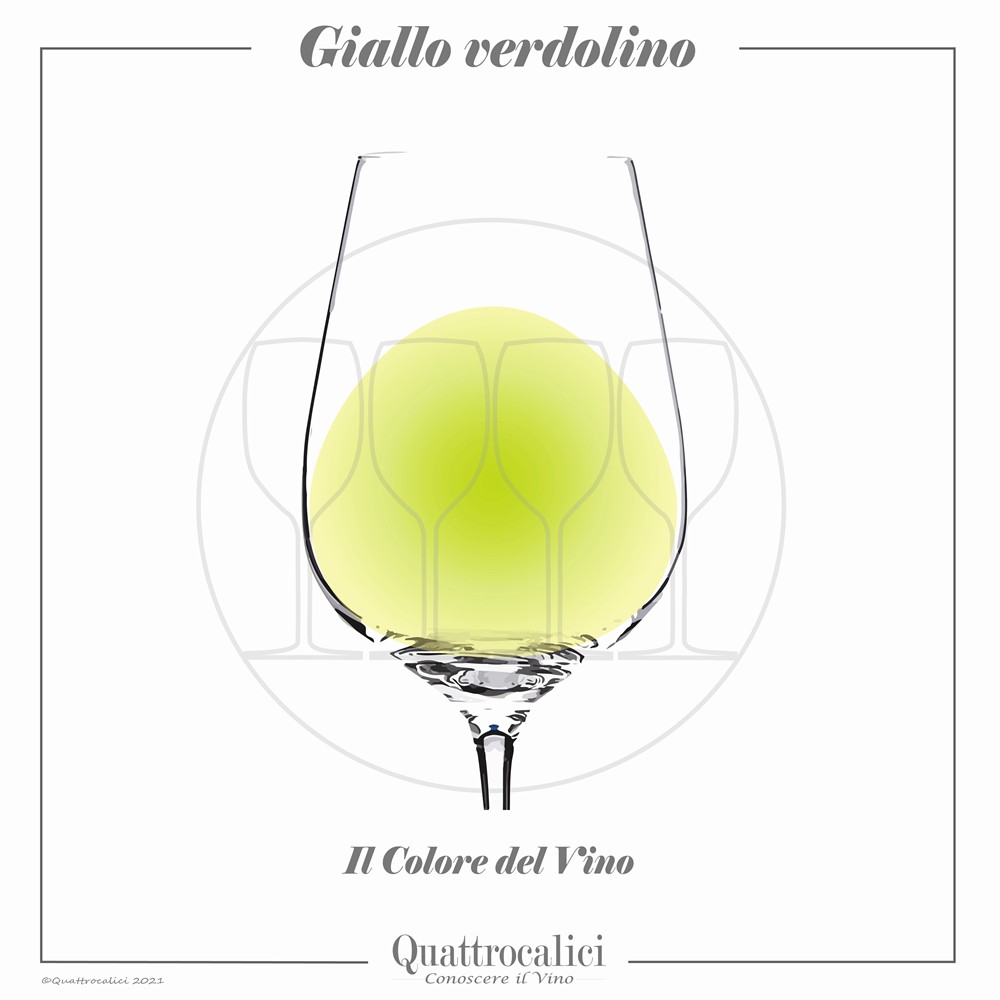 vino di colore giallo verdolino