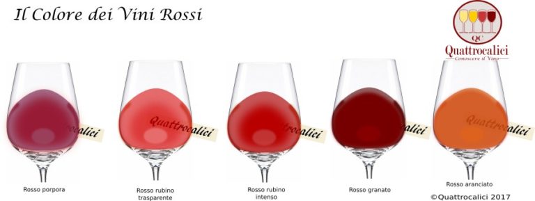 colore dei vini rossi