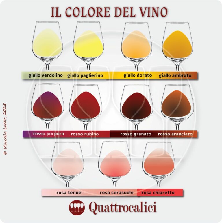 il colore dei vini