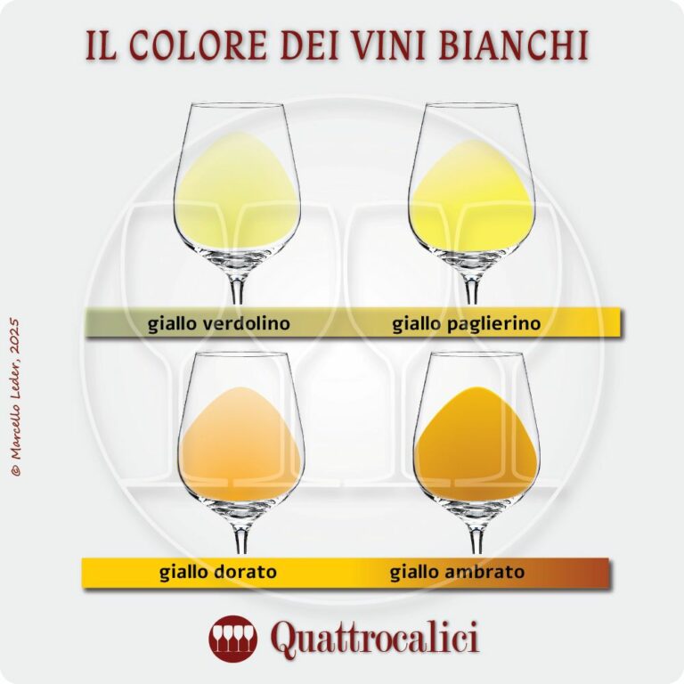 il colore dei vini bianchi