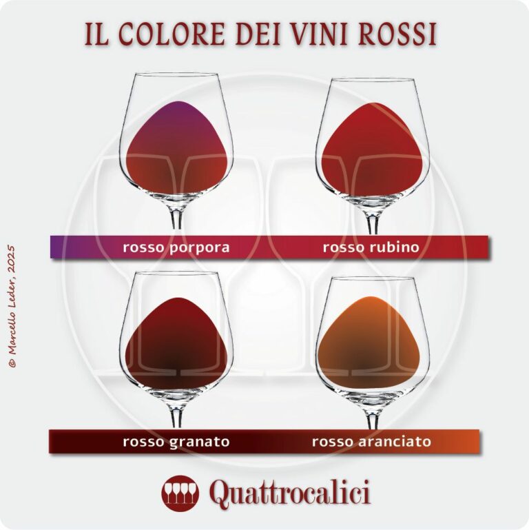il colore dei vini rossi
