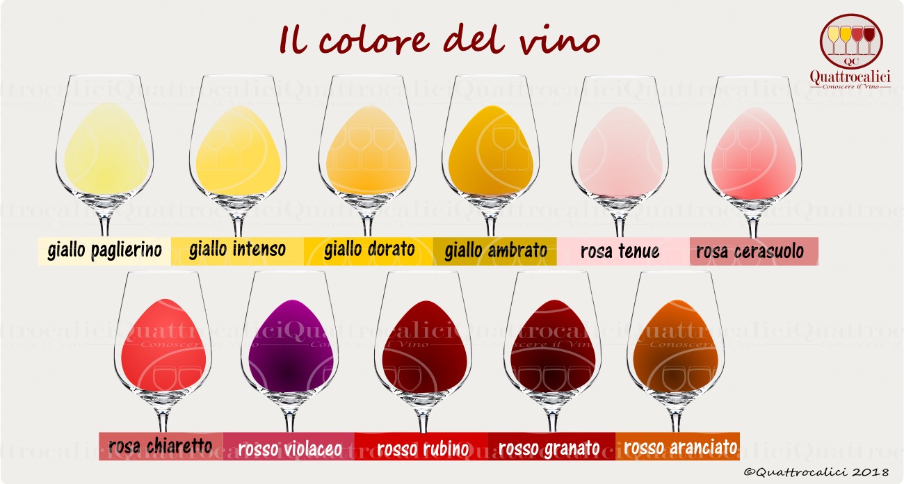 i colori del vino