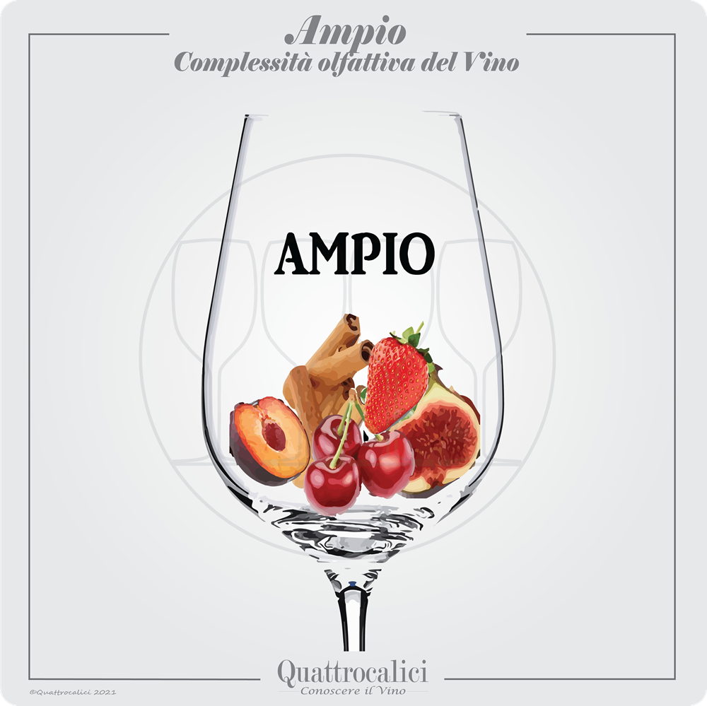 vino ampio