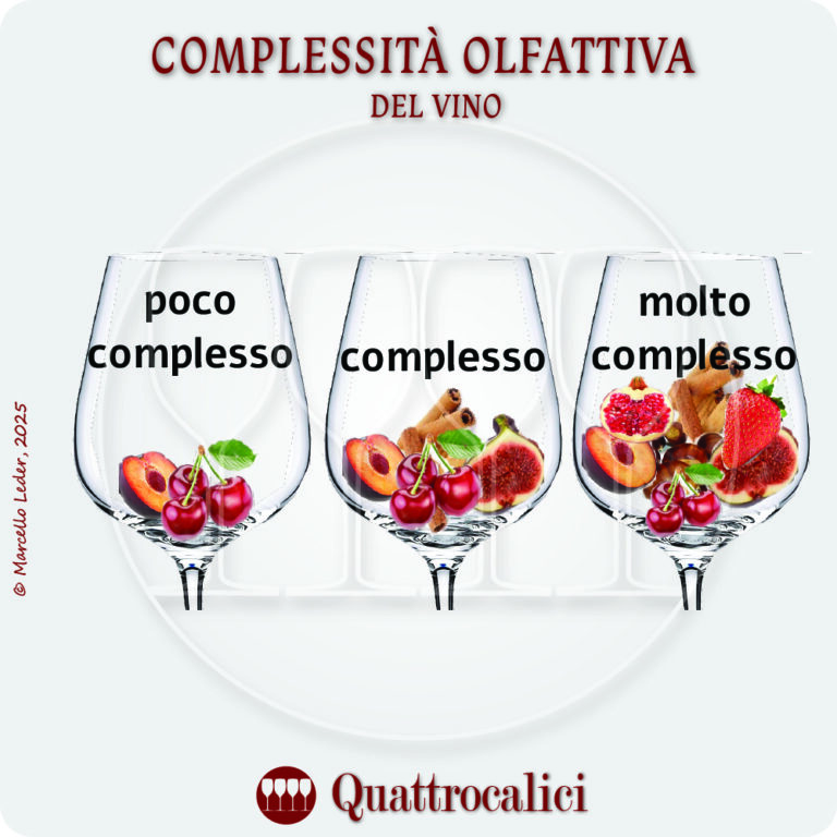 complessita olfattiva del vino