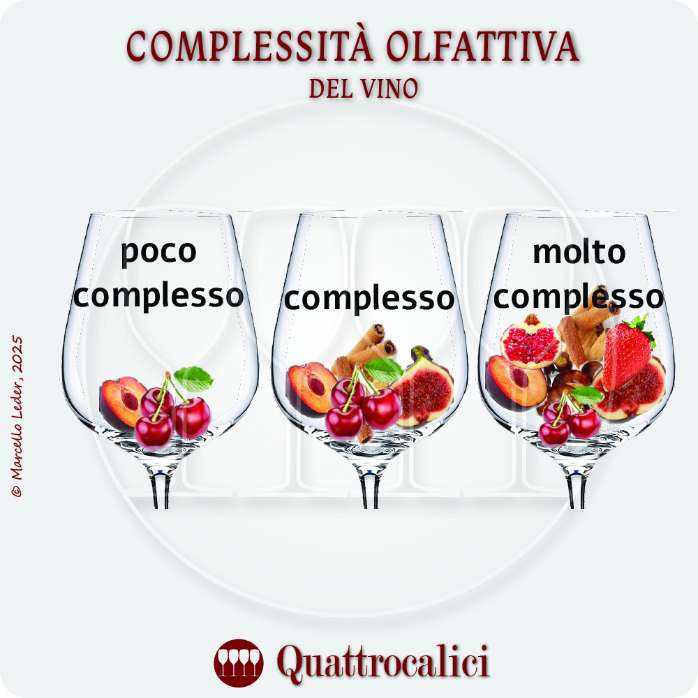 complessita olfattiva del vino