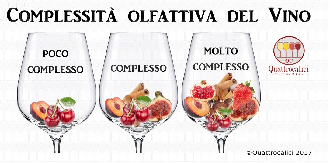 Vino complessità olfattiva