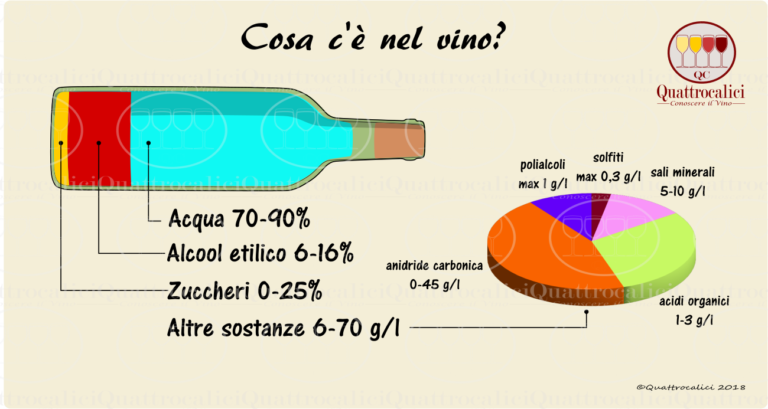 la composizione del vino