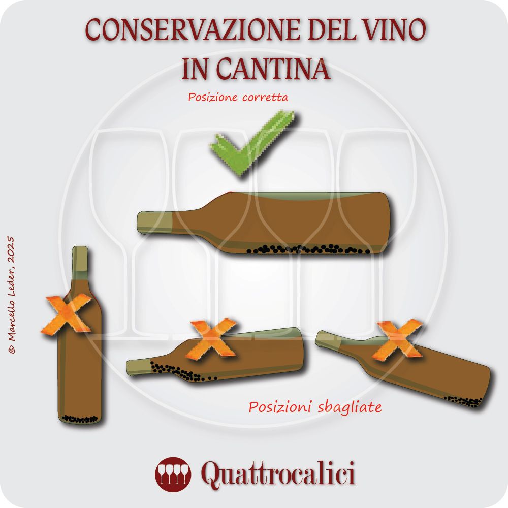 conservare il vino in cantina