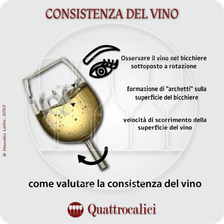 Valutare la consistenza del vino