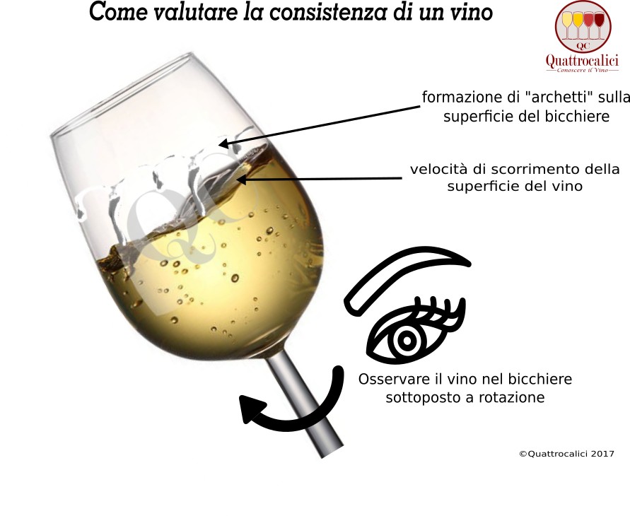 consistenza del vino