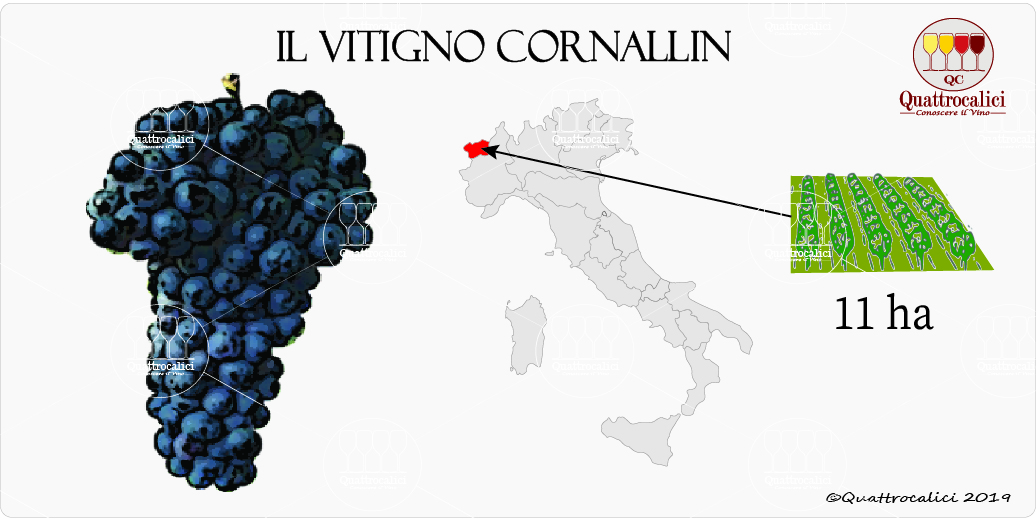 vitigno cornallin