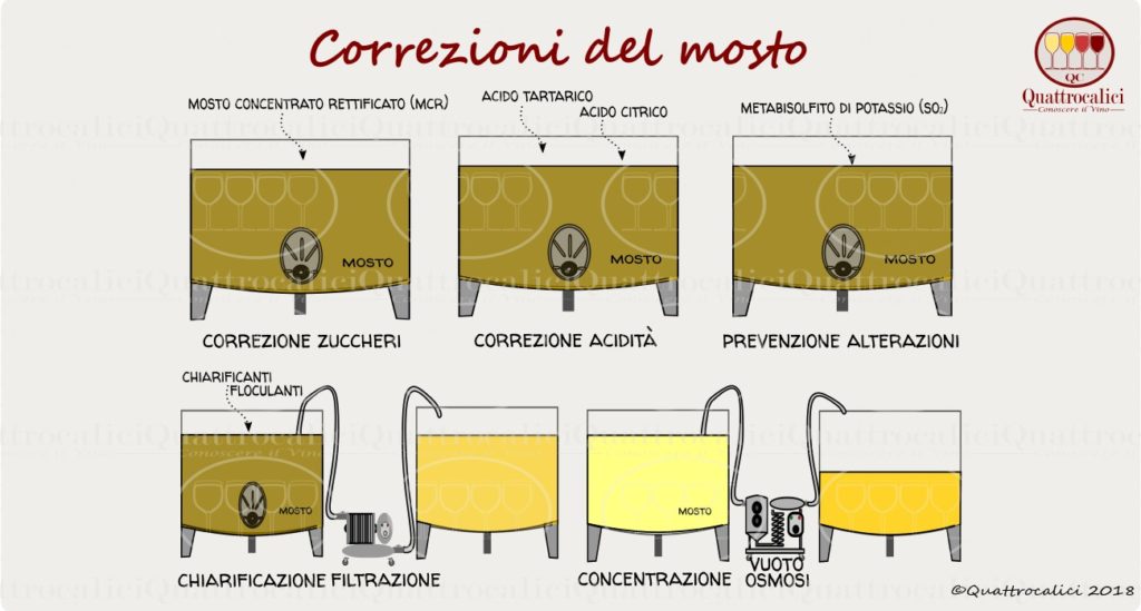 Mosto Ratal Il Mosto e la Correzione del Mosto - Quattrocalici