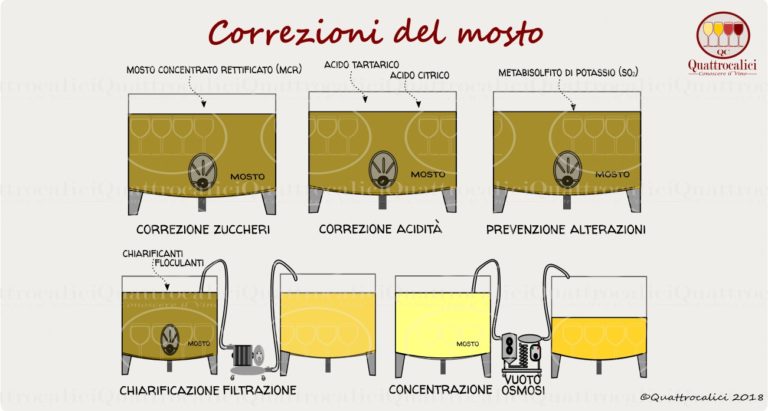 le correzioni del mosto nella vinificazione