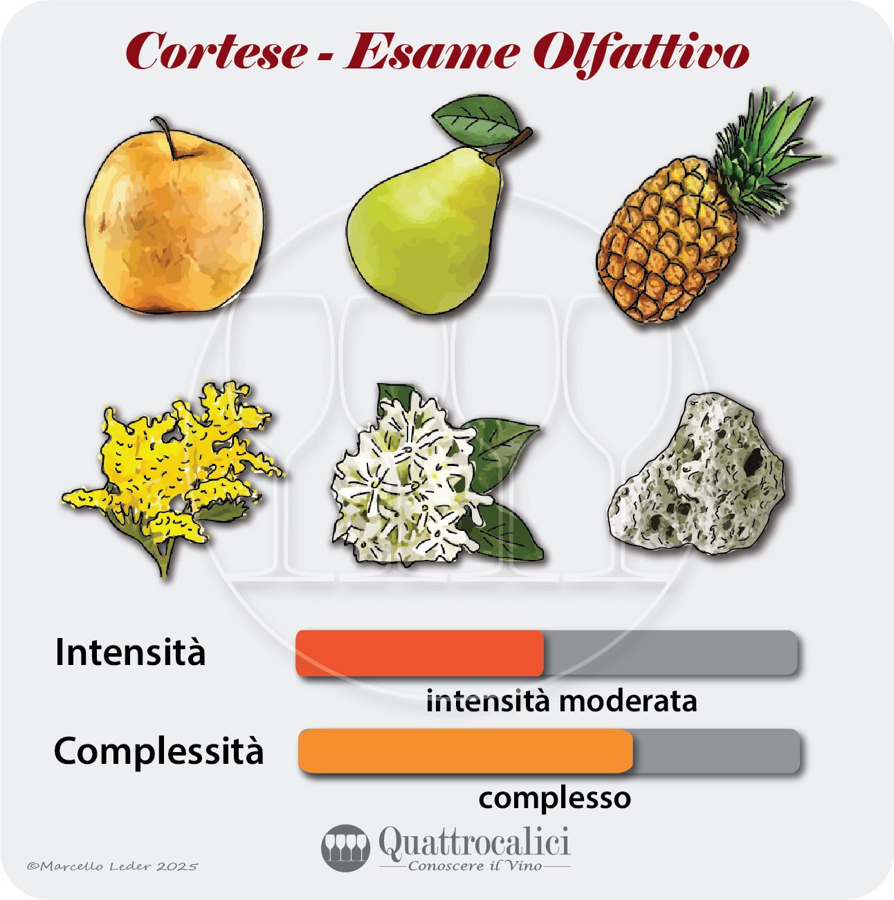L'esame olfattivo dei vini Cortese