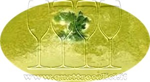 Crema di ricotta e verdure