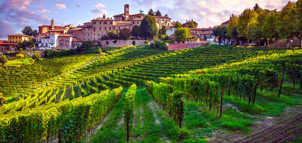 provincia cuneo vino