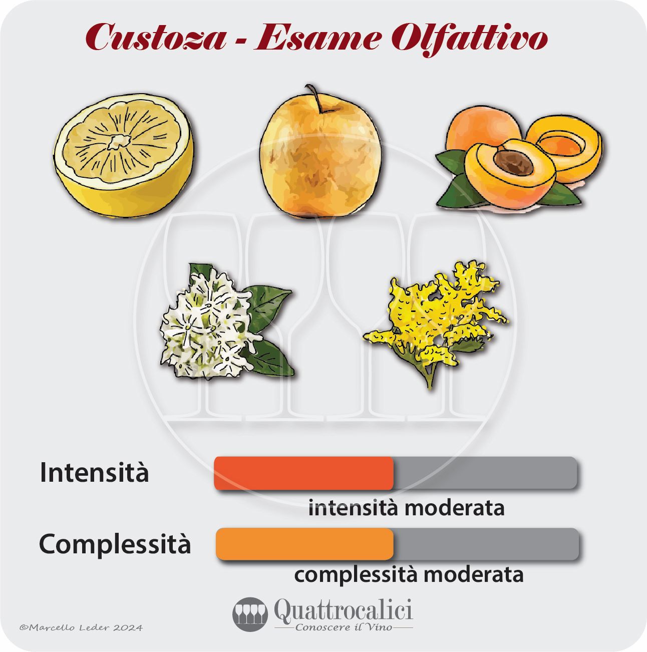L'esame olfattivo dei vini Custoza